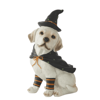 Resin Dog w/Witch Hat and Cape