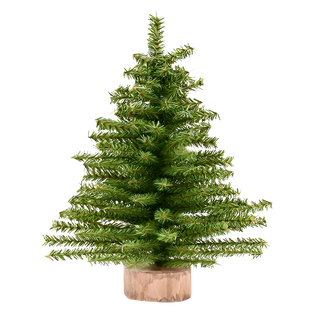 12" Canadian Pine Tree