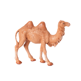 Standing Camel - 5" Scale