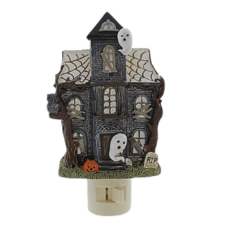 Lighted Haunted House
