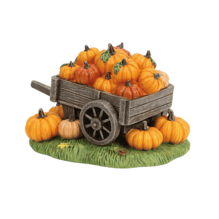 Hey There Pumpkin!