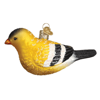 American Goldfinch