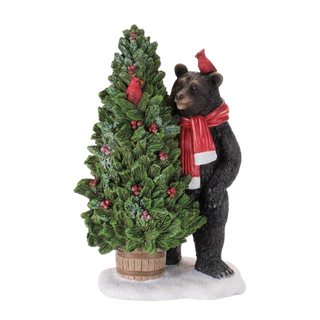 Bear With Tree and Cardianls