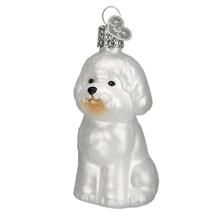 Bichon Frise