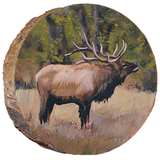 Fall Bugling Elk Estes Park Ornament