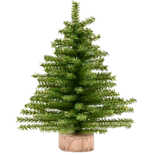 18" Canadian Pine Tree