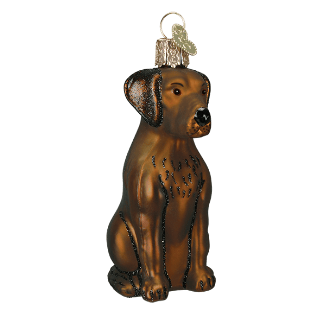 Chocolate Labrador Ornament - Thumbnail 2