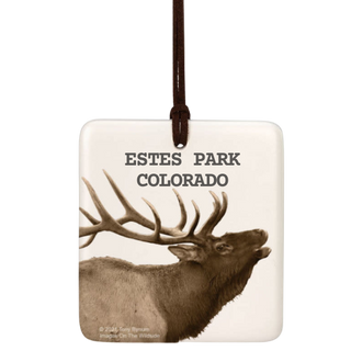 Estes Park, Co Elk Magnetic Ornament