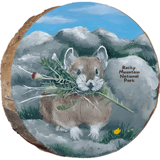 Pika Rocky Mountain National Park Ornament