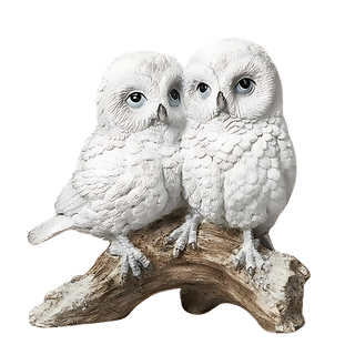 Double Owl On Branch