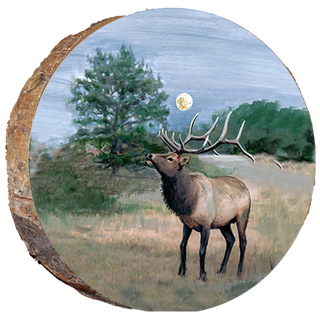 Elk in Moonlight Estes Park Ornament