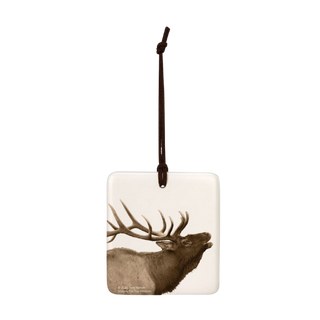 Estes Park, Co Elk Mag Ornament