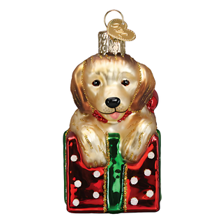 Golden Puppy Surprise