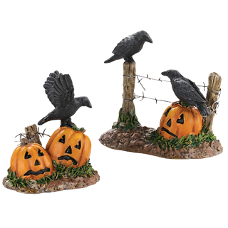 Halloween Ravens