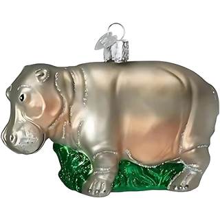 Hippopotamus