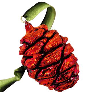 Iridescent Preserved Sequoia Cone