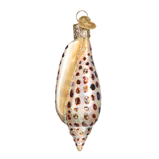 Junonia Shell