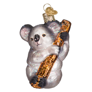 Koala Bear