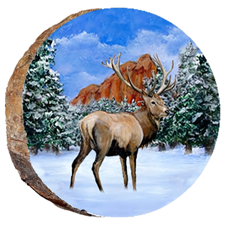 Lone Elk in Snow