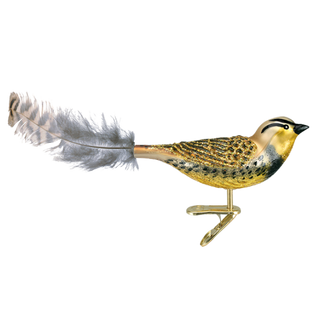 Meadowlark