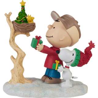 Peanuts The Joy of Giving