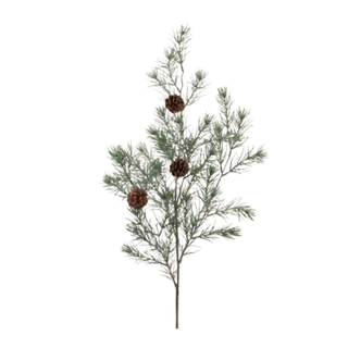 Prickly Pine Spray