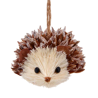 RC Hedgehog Ornament