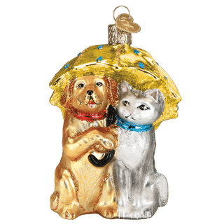 Raining Cats and Dogs