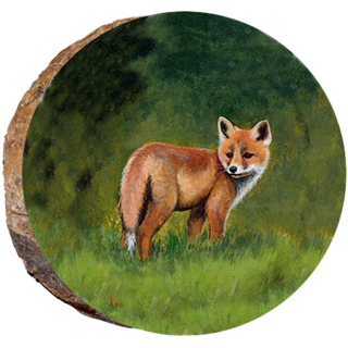 Red Fox