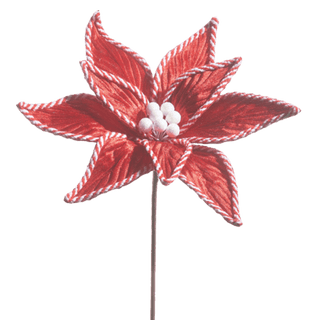 Red Velvet Poinsettia Pik
