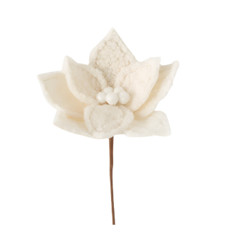 Sherpa Pointsetta Spray