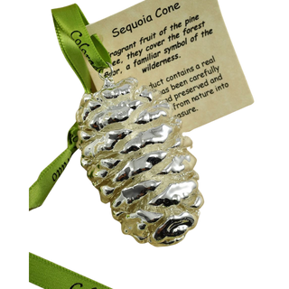 Silver Preserved Sequoia Cone