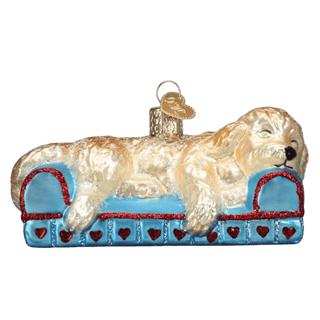 Sleepy Doodle Dog