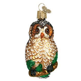 Spotted Owl