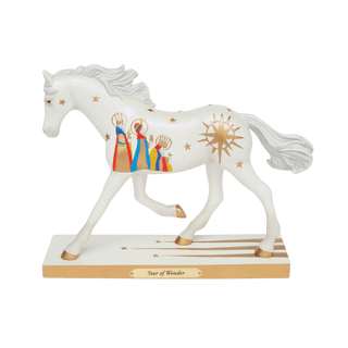 Star of Wonder Horse