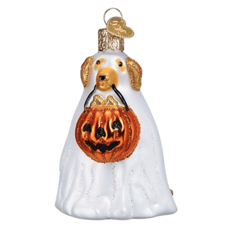 Trick or Treat Pooch