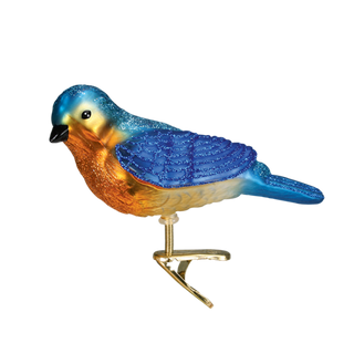 Western Bluebird