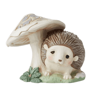 Woodland Hedgehog