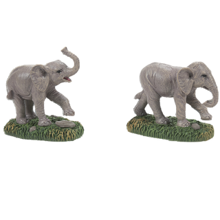 Zoological Garden Elephant Set of 2