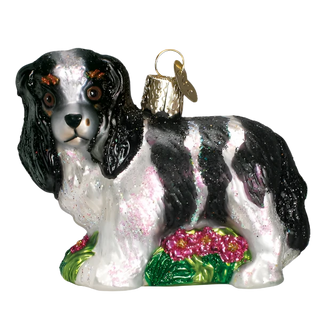 Black/white King Charles Spaniel