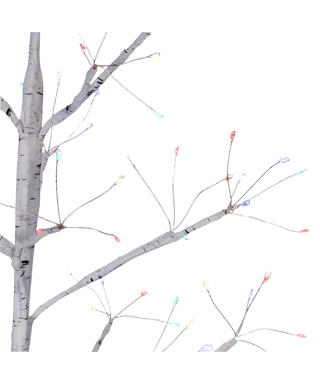 3' Multicolored White Birch Tree