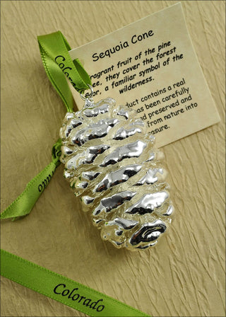 Silver Preserved Sequoia Cone