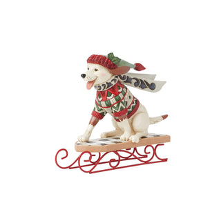 Highland Glen Dog On Sled