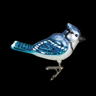 Bright Blue Jay