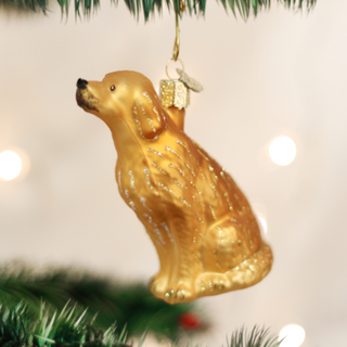 Sitting Golden