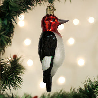 Red-Headed Woodpecker
