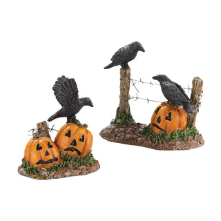 Halloween Ravens