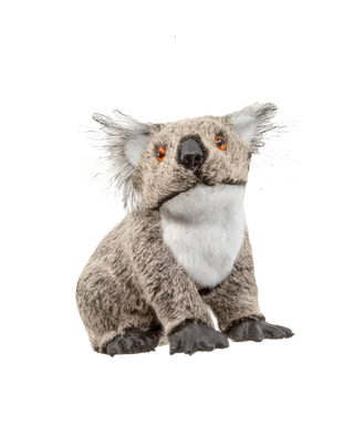 Furry Koala