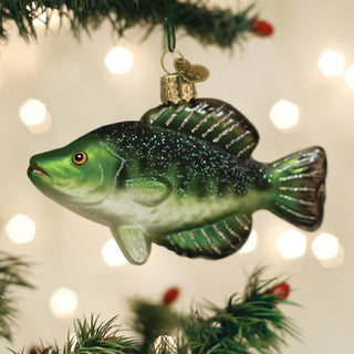 Crappie