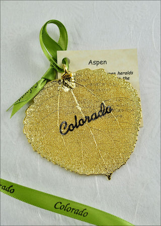 Gold Preserved Aspen Leaf - Colorado